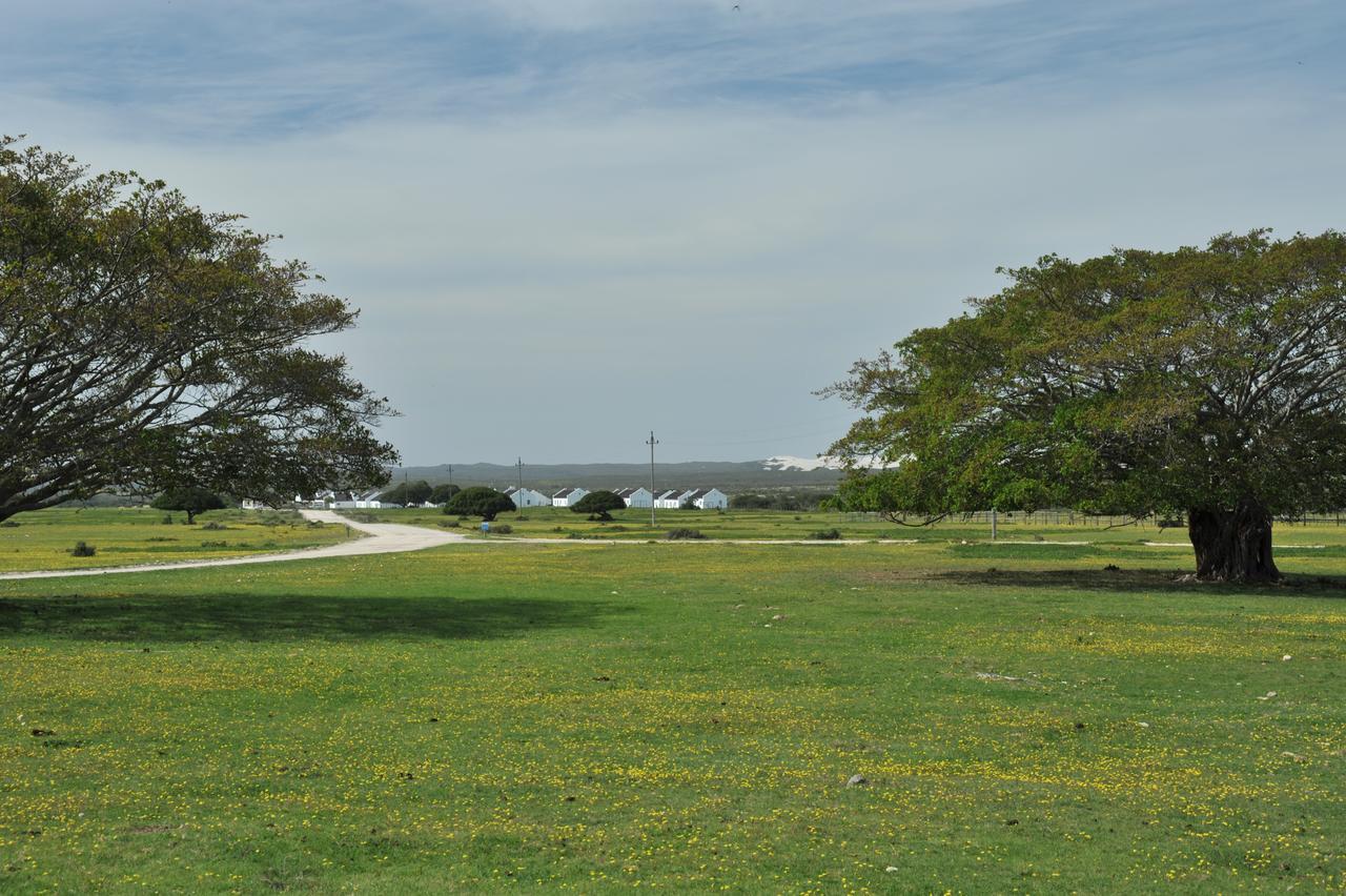 De Hoop Collection Suites De Hoop Nature Reserve Kültér fotó