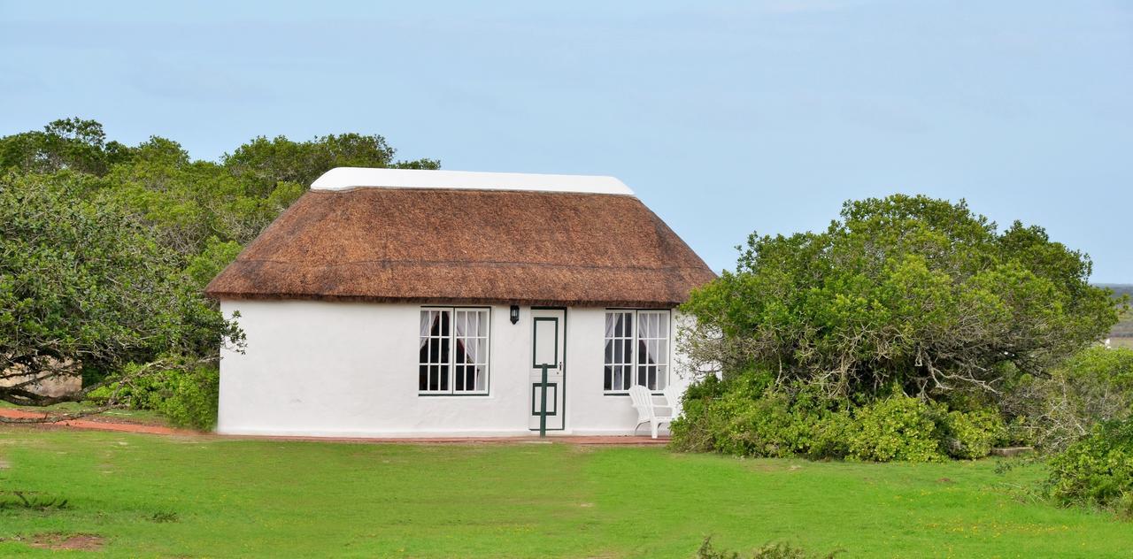 De Hoop Collection Suites De Hoop Nature Reserve Kültér fotó